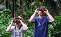 ...more endemics:  Bullfinch, Tanagers, and Spindalis.